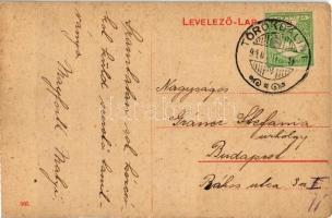 1910 Törökbálint, látkép a József hegyről. W.L. (?) 900. (EK)
