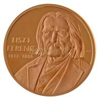 ifj. Szlávics László (1959-) 2011. "Nagy Magyarok / Liszt Ferenc 1811-1886" aranyozott Cu ...