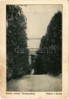 50 db régi magyar és történelmi magyar városképes lap; vegyes minőség / 50 pre-1945 Hungarian and Hi...