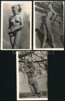 cca 1960 Vegyes akt fotó tétel, utólagos előhívások, 10 db, 14x9 cm és 9x6 cm közötti méretben