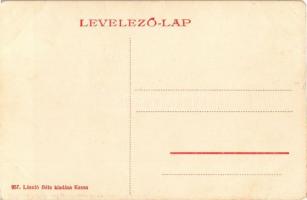 Kassa, Kosice; Új kir. ítélőtábla palotája. László Béla kiadása 957. / palace of court (EK)