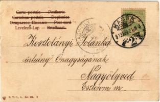 1903 Kassa, Kosice; Bankói út / road to Bankov spa (EK)