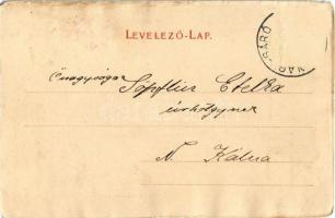 1903 Kiskálna, Kálnica (Kálna, Garamkálna, Kalná nad Hronom); Nagy kastély. Kiadja Dukesz Lipót / ka...