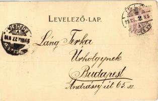 1899 Igló, Zipser Neudorf, Spisská Nová Ves; Iskola utca. Kiadja Csetényi Emil / street (vágott / cu...