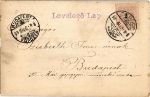 1899 Zombor, Sombor; Korcsolya pavilon, jégkorcsolya, sport / skate hall, ice skate. photo