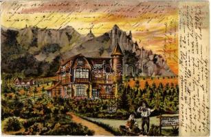 1901 Rajecfürdő, Rajecké Teplice; Dr. Flamms Cottage / Dr. Flamm villa, csónakázók. művészlap / cottage, villa, rowing boat. art postcard (EB)