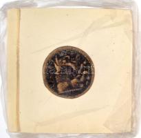 Antik görög érme modern másolata "COPY" jelzéssel, műanyag hasábban