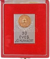 DN "Fővárosi Autótaxi Vállalat - 30 éves jó munkáért" kis emlékplakett, kitűzővel együtt, tokban (36x51mm) T:1-