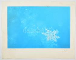 Olvashatatlan jelzéssel: Hókristály. Szitanyomat, papír, foltos, kis gyűrődéssel, 35×51 cm