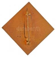 1975. "BHSB Championad Hungary" fém jelvény (49mm) T:2