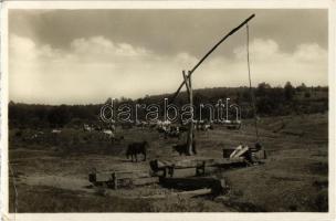 Tornalja, Tornala; Delelő gémeskúttal / Napájenie / shadoof  (well pole), herd (EK)