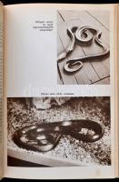 Vegyes könyvtétel, 2 db: Molnár Gábor: Kalandok a brazíziliai őserdőben. Vadász, és gyűjtőuton Észak...