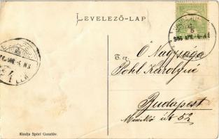 1905 Vajdahunyad, Hunedoara; Vasgyár. Kiadja Spörl Gusztáv / iron works, factory (EB)