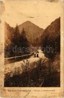 1908 Petrozsény, Petrosani; Szurduki szoros. Kiadja Herz Henrik / Pasul Surduc / mountain pass (kis szakadás / small tear)