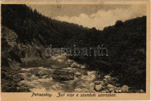 Petrozsény, Petrosani; Zsil vize a Szurduki szorosban. Kiadja Kammer Ábrahám / Pasul Surduc, Raul Jiu / mountain pass, river (EK)