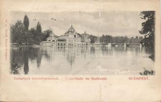 1899 Budapest Városligeti korcsolyapálya (fa)