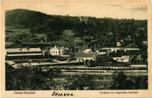 Désakna, Ocna Dejului; sóbánya / Vedere cu regiunea Salinei / salt mine. Foto Dr. Czettele