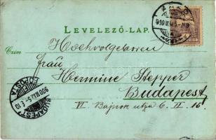 1900 Arad, Városliget holdfényben. Kiadja H. Bloch nyomdája / park in moonlight (fl)