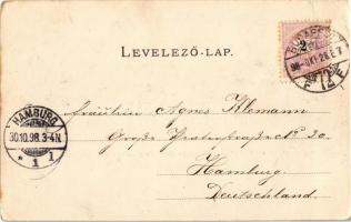 1898 Budapest I. Kilátás a Margitsziget felé, Margit híd, Országház. Kiadja Divald Károly Nr. 15. (E...