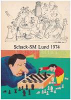 24 db MODERN sakk motívumlap, festményekkel és rajzokkal / 24 modern Chess motive postcards with pai...