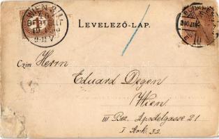 1900 Budapest I. Kilátás a Krisztinaváros felől, Lánchíd, Királyi vár. Divald Károly 28. sz. (r)