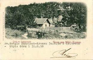 1898 Moravsky Krumlov, Mährisch Kromau; Teich im Spatzenwalde / lake (pinholes)