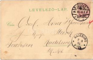 1896 (Vorläufer!!!) Budapest, látkép, Ferenc József rakpart a Gellérthegyről, Császár fürdő. Kunstan...