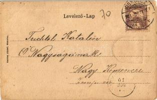 1901 Miskolc, Szemere utca. Kiadja Kardos József. Címeres litho keret / Art Nouveau litho frame with...