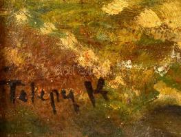 Telepy jelzéssel: Vár az öbölben, olaj, karton, fa keretben, 40×50 cm