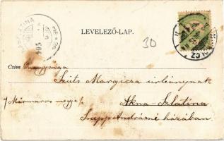 1905 Diósgyőr (Miskolc), látkép (fl)