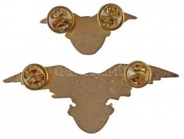 DN "A Turul Őrzője" aranyozott, zománcozott jelvény (2x) klf méretben (30x76mm és 17x41mm)...