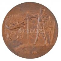 Osztrák-Magyar Monarchia 1915."Conrad von Hötzendorf" kétoldalas vert Br plakett. Szign.:H...