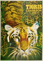 1981 Tigriscsapáson, színes szovjet film plakátja, hajtott, 54×38 cm