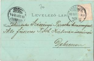 1899 Keszthely, Balaton fürdő, Feszteties (Festetics) palota, Gazdasági tanintézet, főgimnázium, est...