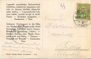 1915 Teus, Teius (Karánsebes, Caransebes); Fridrikeheim, Tenisplatz, Füszfás-Ausflug / Kilátás a Fri...