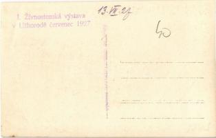 1927 Ungvár, Uzshorod, Uzhorod; I. Kereskedelmi Kiállítás, pavilonok, torony / I. Zívnostenská vysta...