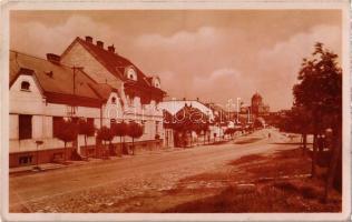 1938 Párkány, Parkan, Stúrovo; utcakép, kerékpár, távolban az esztergomi Bazilika. Kiadja Rosnerová / street view, bicycle, Basilica (Esztergom) (EK)