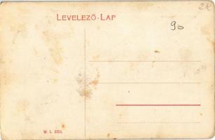 Felsőlövő, Oberschützen; Evangélikus fő gimnázium. W. L. 2353. / Lutheran high school (fl)