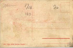 Ungvár, Uzshorod, Uzhorod; Részlet a Széchenyi ligetből, vendéglő, étterem. Kiadja Völgyi József 163...