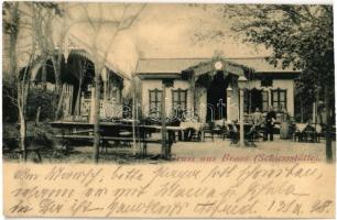 1898 Szászváros, Broos, Orastie; Lövölde vendéglő és kert / Schiesstätte / restaurant and courtyard (vágott / cut)