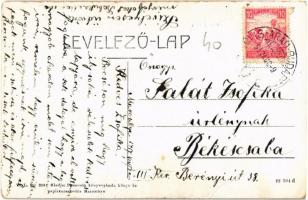 1917 Marosillye, Ilia; Kerületi takarékpénztár. W.L. Bp. 2081. Pannonia kiadása / district savings b...