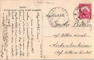 1926 Aszód, Javító és nevelő intézet szegfű melegháza. Kiadja Huszerl Sándor és Fia + Somoskőújfalu-...