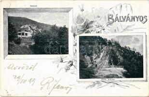 1899 Bálványosfürdő, Baile Balvanyos (Torja, Turia); Büdös-barlang, szálloda, Pension / cave, hotel. floral