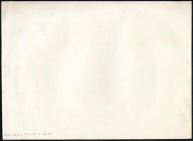 Ideal írógép bemutatóterem, Seidner Foto Budapest, pecséttel jelzett, 17,5×24 cm