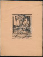 Franz von Bayros (1866-1924): Ex libris Madarassy Beck. Klisé, papír, jelzett a nyomaton, 14×11 cm