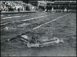 cca 1950-1960 Vízilabda és úszósport fotók, 6 db, többnyire feliratozva, 9×12 és 24×31 cm közötti méretekben