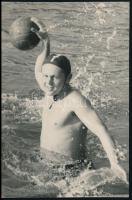 cca 1950-1960 Vízilabda és úszósport fotók, 6 db, többnyire feliratozva, 9×12 és 24×31 cm közötti mé...