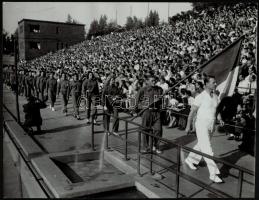 cca 1950-1960 Vízilabda és úszósport fotók, 6 db, többnyire feliratozva, 9×12 és 24×31 cm közötti mé...