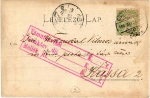 1906 Esztergom, régiségbolt, üzlet belső. photo