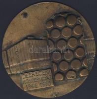 1970. "Debreceni Konzervgyár" nagyalakú Br emlékplakett T:2
